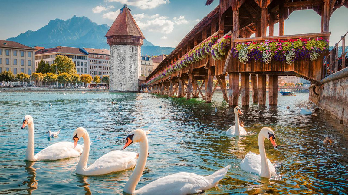 Tuyến XANH BIỂN : ĐỨC • CH SÉC• SLOVAKIA • HUNGARY • ÁO• THỤY SĨ