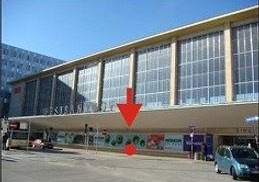Tuyến XANH BIỂN : ĐỨC • CH SÉC• SLOVAKIA • HUNGARY •  ÁO• THỤY SĨ